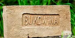 Кирпич с клеймом Bukowina